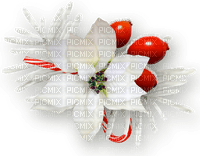 Christmas.Winter.Cluster.White.Red - bezmaksas png