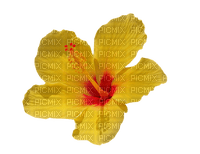 kukka, fleur, flower - gratis png