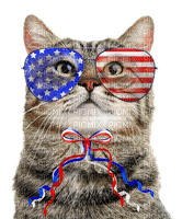 Cat.Patriotic.4th Of July - By KittyKatLuv65 - png grátis