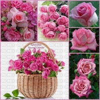 bouquet de rose - png gratuito