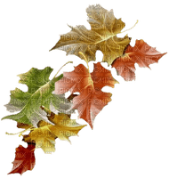 Tube feuilles - PNG gratuit