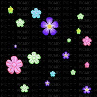 flowers - Gratis animeret GIF