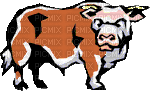 bull - Безплатен анимиран GIF