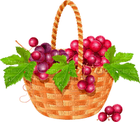 grapes   Bb2 - 免费PNG