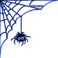 halloween deco blue spider web