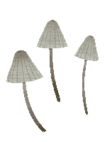 Mushrooms - GIF animasi gratis