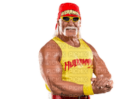 Hulk Hogan - PNG gratuit