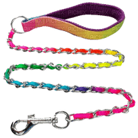 rainbow leash - png gratis