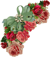 rose schleife - ilmainen png