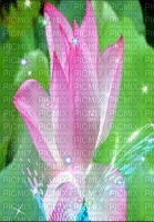 lotus - 免费PNG