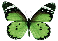 patricia87 papillon - 免费PNG