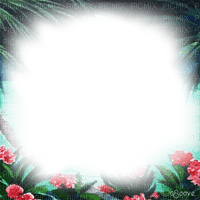 soave frame summer  palm pink green - zadarmo png