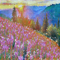 kikkapink background flowers spring field - Бесплатный анимированный гифка