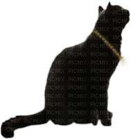 katze cat black - PNG gratuit