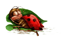 Kaz_Creations Ladybugs Ladybug - png grátis