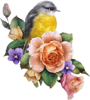 Vogel, gelb, Rosen, Blumen, Bird - PNG gratuit
