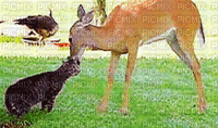 deer - Zdarma animovaný GIF