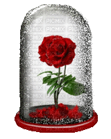 dekor -virág-ünnepek - 免费动画 GIF