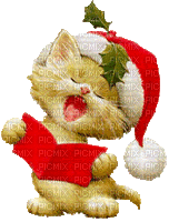 christmas cat  chat noel - GIF animé gratuit