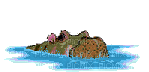 hippo - GIF animado grátis