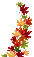 soave deco autumn animated leaves branch brown - GIF animado grátis