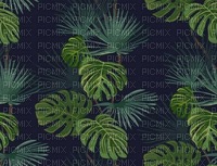 Tropic Background - nemokama png