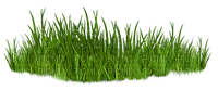 kikkapink deco grass green - 免费PNG
