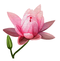 flower pink by nataliplus - 無料png