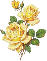 flowers roses - zadarmo png