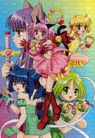 Tokyo Mew Mew - By StormGalaxy05 - 免费PNG