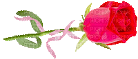 rose - Ingyenes animált GIF