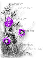 soave deco flowers poppy corner branch text - бесплатно png
