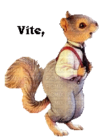 écureuil de sortie - GIF animado grátis