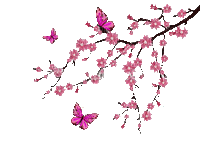 flor - Бесплатный анимированный гифка