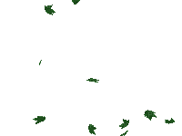 verde - Ingyenes animált GIF