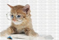 cats bp - GIF animasi gratis