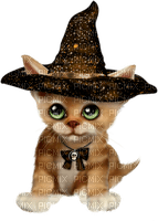 Gato brujo - gratis png