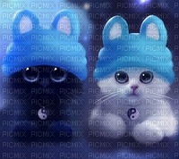 Kittens - png gratuito