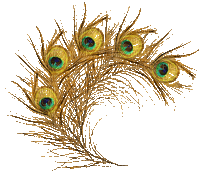 Peacock feather - GIF animado gratis