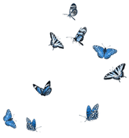 Kaz_Creations Deco  Butterflies Butterfly Colours - PNG gratuit