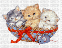 trois mignons chatons - GIF animado grátis