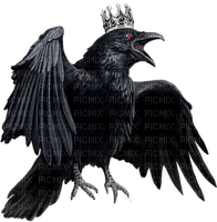 king crow by nataliplus - Free PNG