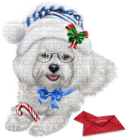 loly33 chien noël - δωρεάν png