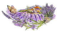 lavender, landscape, violet, flowers, butterfly - GIF animé gratuit