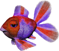 poisson multicolore - Gratis geanimeerde GIF