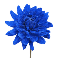 Flowers blue bp - bezmaksas png