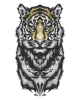tigre - png grátis