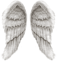 angle wing - PNG gratuit