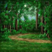 nature background forest - darmowe png