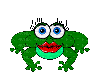 żaba - Gratis animeret GIF